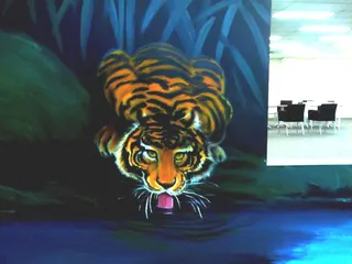 Wizzy world - thirsty tiger